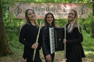 muzsikalazerdo.hu.