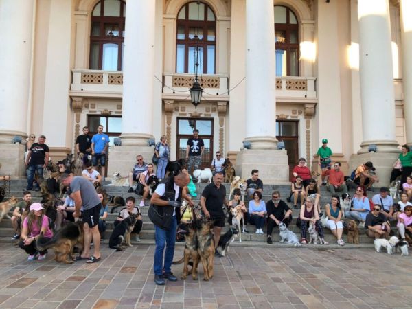 Foto: Mădălina Sturz