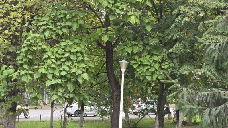 Foto: Crina Dobocan