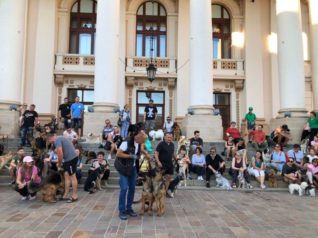 Foto: Mădălina Sturz