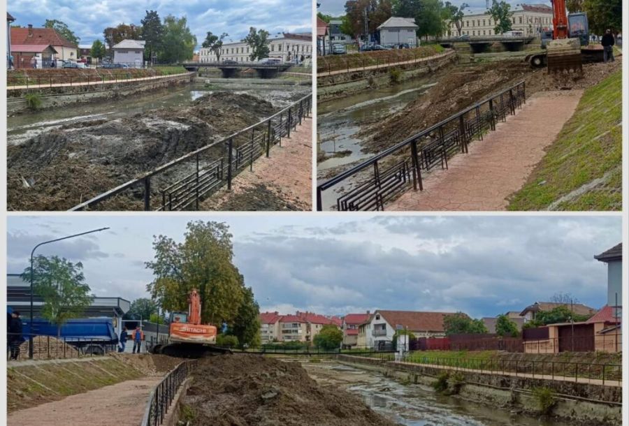 Foto: ABA Crișuri