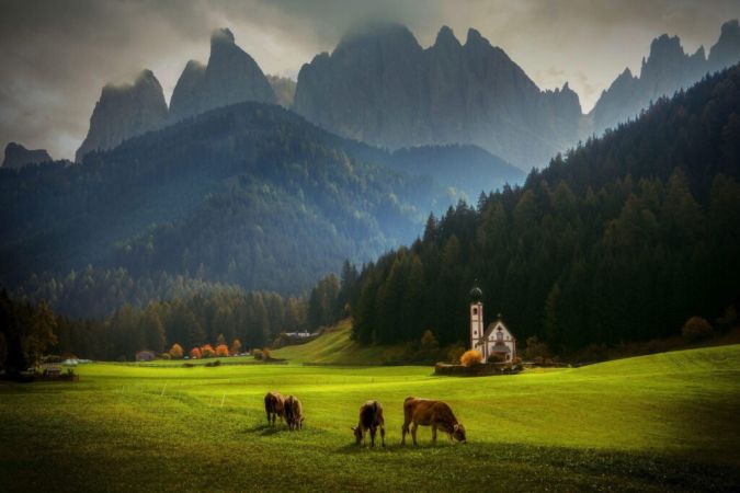 Foto Milan Uhrin (SK) - Ritmul vieții