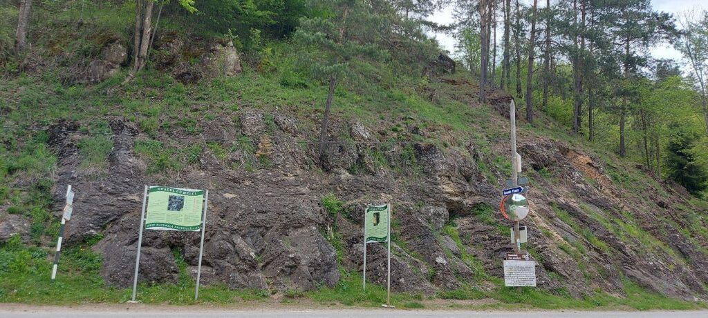 Foto: Neta Pietroi