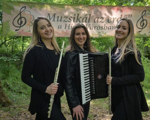 muzsikalazerdo.hu.