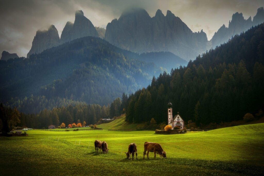 Foto Milan Uhrin (SK) - Ritmul vieții
