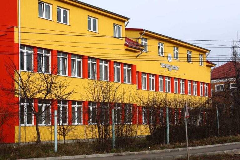 Opt focare active de pestă porcină în Bihor