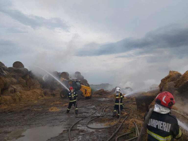 Incendiu violent la o fermă din localitatea Salonta