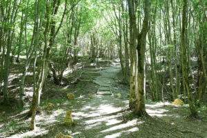 O noua destinatie turistica in Bihor - 08