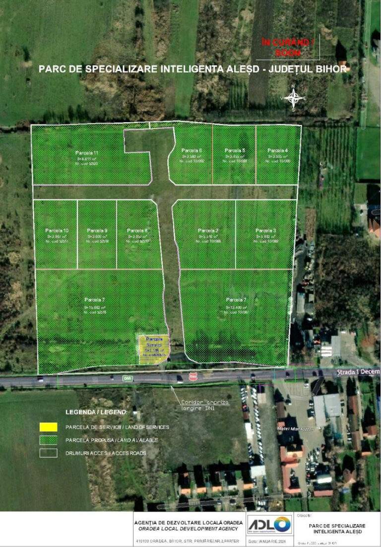 Licitație pentru concesionarea parcelelor din Parcul Industrial Aleșd