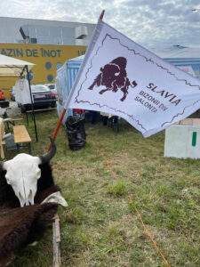 Concurs de gătit gulaș la Salonta- Gulașul din carne de bizon, cel mai bun - 02