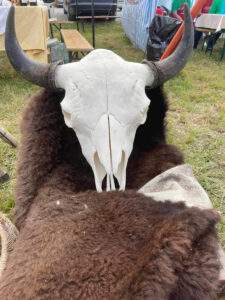 Concurs de gătit gulaș la Salonta- Gulașul din carne de bizon, cel mai bun - 09