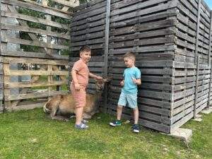 Experiență unică în natură-04