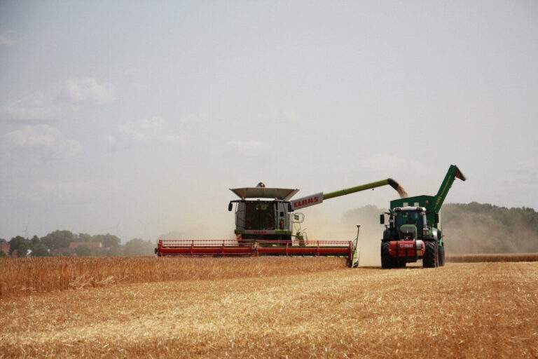 Plăți de peste 22 milioane euro pentru Campania 2023