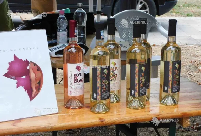 Vinuri produse exclusiv în judeţ, într-o degustare în aer liber a unor crame reprezentative