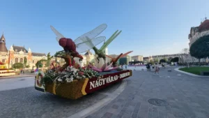 Carele alegorice au sosit în Piața Unirii din Oradea-04