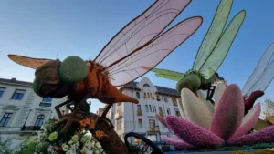 Carele alegorice au sosit în Piața Unirii din Oradea-06