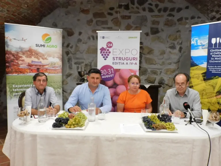 Expoziţie unicat de struguri, din peste 50 de soiuri nobile, în comuna Sânmartin