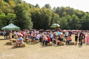 Festivalul „Dorel Codoban”-07