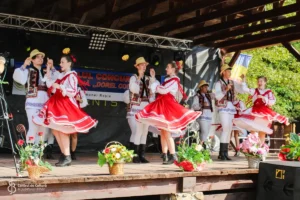 Festivalul „Dorel Codoban”-08