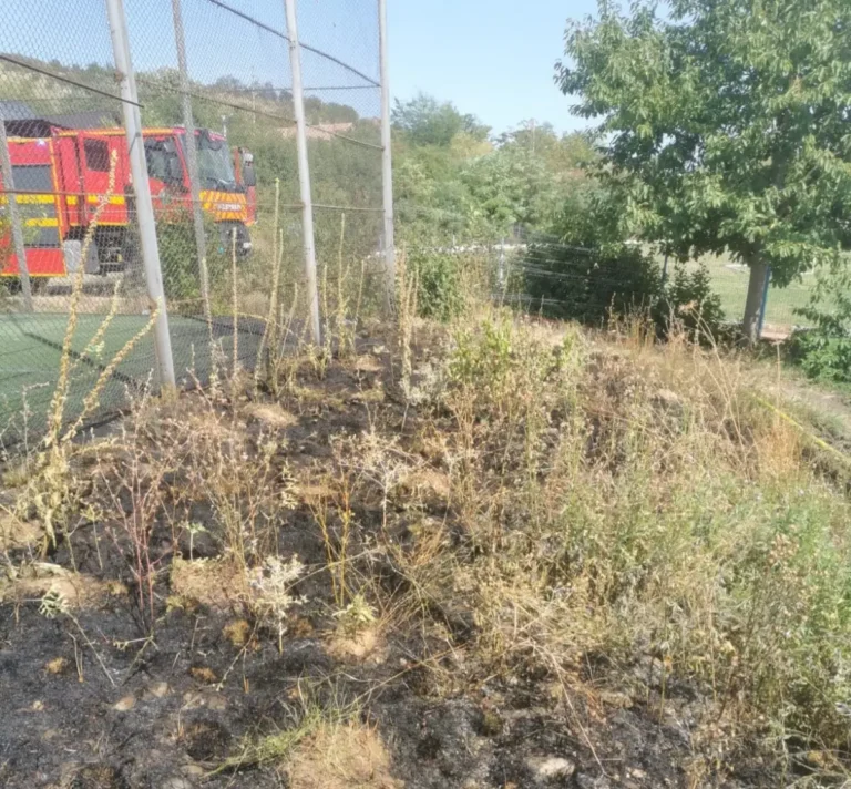 Opt incendii de vegetație uscată într-o singură zi