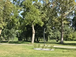 Investiție majoră la Sânmartin-04