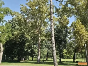 Investiție majoră la Sânmartin-05