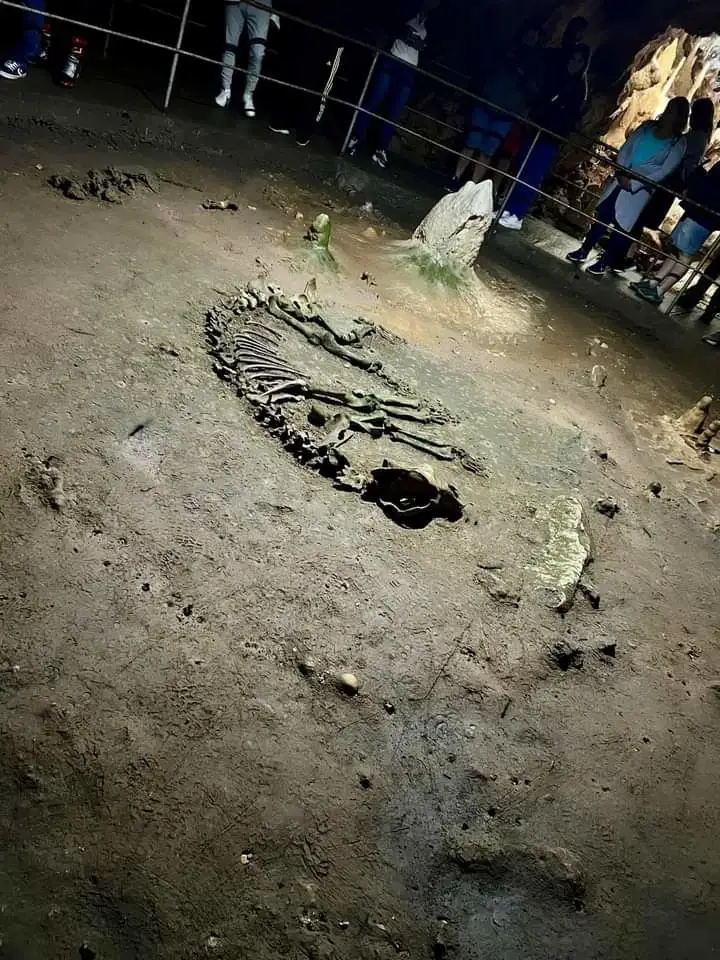 Peștera Urșilor este unul dintre cele mai vizitate obiective turistice din Munții Apuseni