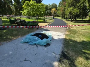 Pistă din tartan pentru alergare, în Parcul Olosig-04