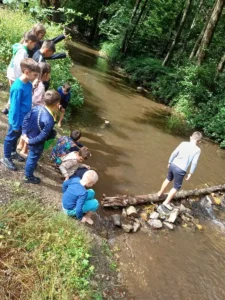Tabăra „Prietenii Naturii” de la Pădurea Neagră-02