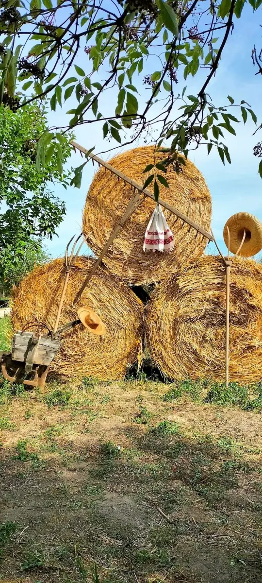 Grâu Fest 2024, o sărbătoare a tradițiilor din Husasău de Tinca