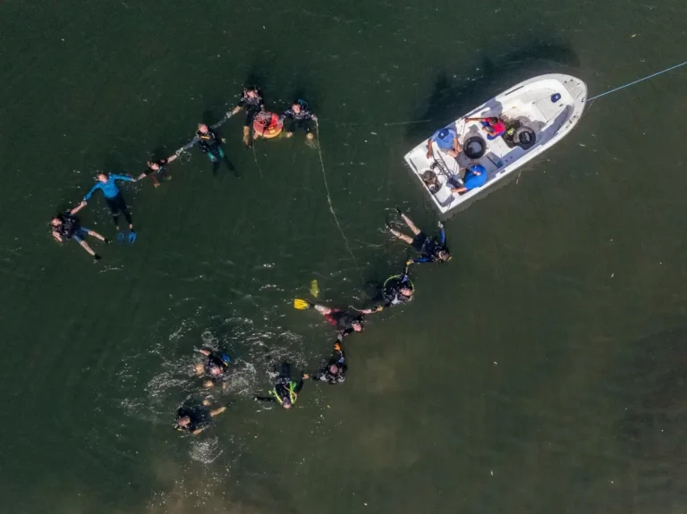 Scafandrii de la Nautilus Diving Club au curățat Crișul Repede. Ce au găsit pe fundul râului din Oradea