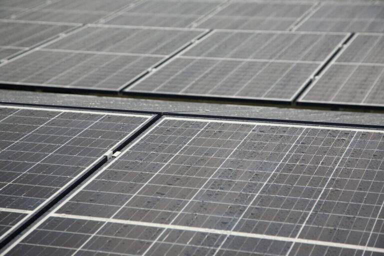 Parc fotovoltaic de 2 hectare la Beiuș