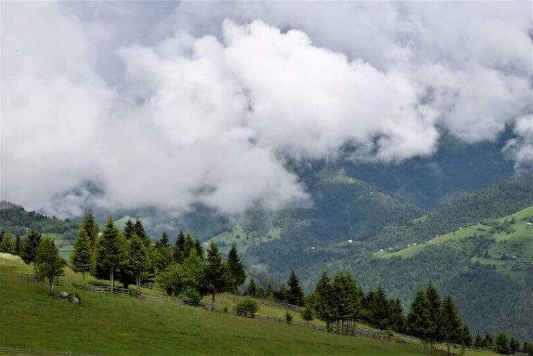 Bătrânii satului știau tălmăci mesajele pe care le transmitea natura: „Când auzi primu’ tunet de vară…”