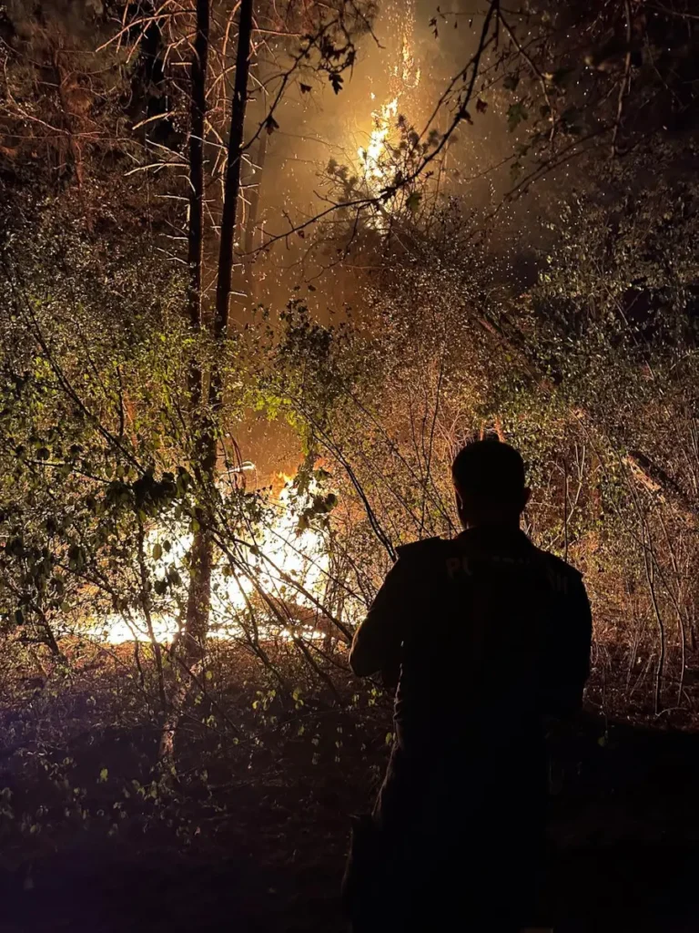 80 de hectare de pădure și pășune au ars la Vintere. Incendiul masiv de aici a fost lichidat