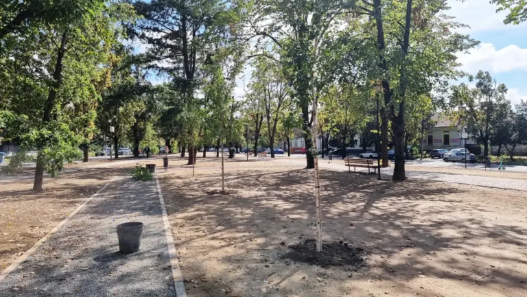 A început amenajarea peisagistică în Parcul Petofi