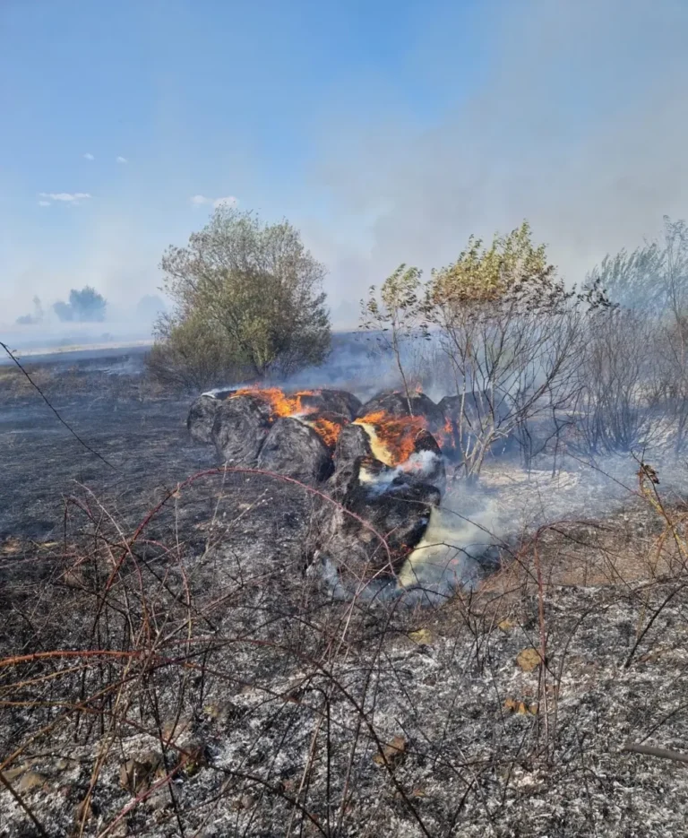 12 incendii de vegetație uscată produse în weekend, în Bihor