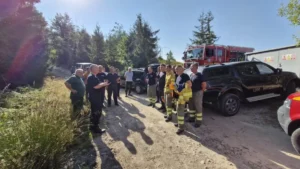 ISU-Incendiul din zona Budureasa-Stâna de Vale a fost stins-02
