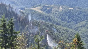 ISU-Incendiul din zona Budureasa-Stâna de Vale a fost stins-03
