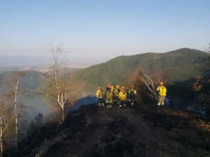 ISU-Incendiul din zona Budureasa-Stâna de Vale a fost stins-04