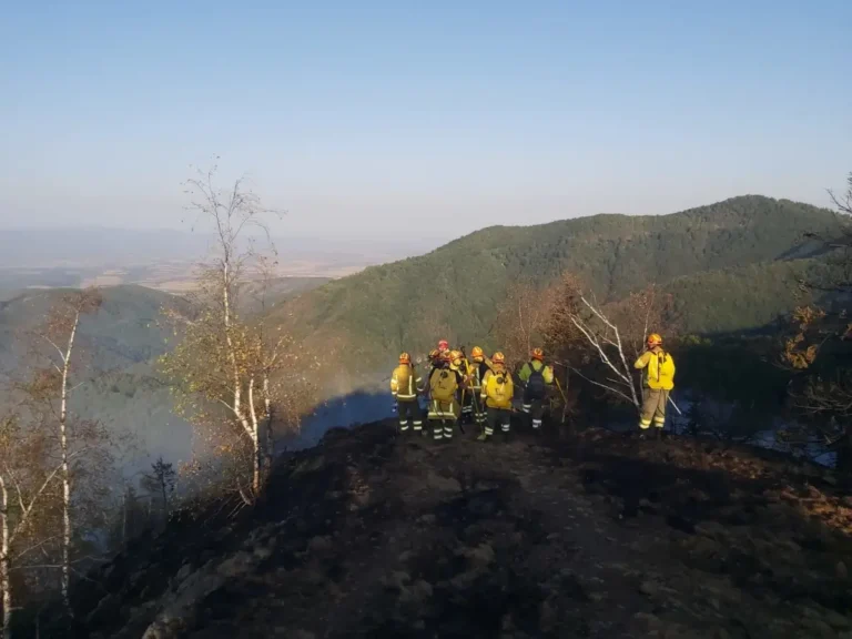 Incendiul din zona Budureasa-Stâna de Vale a fost stins. Au ars 25 de hectare de pădure