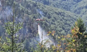 ISU-Incendiul din zona Budureasa-Stâna de Vale a fost stins-05