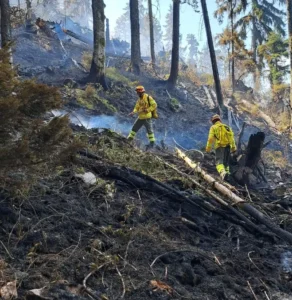 ISU-Incendiul din zona Budureasa-Stâna de Vale a fost stins-06