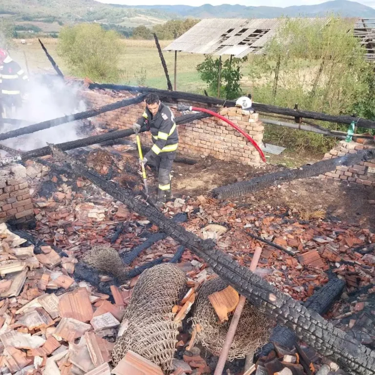 Un nou incendiu violent în localitatea Valea Mare de Criș