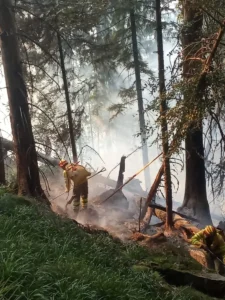 ISU-Vară de foc pentru pompierii bihoreni-05
