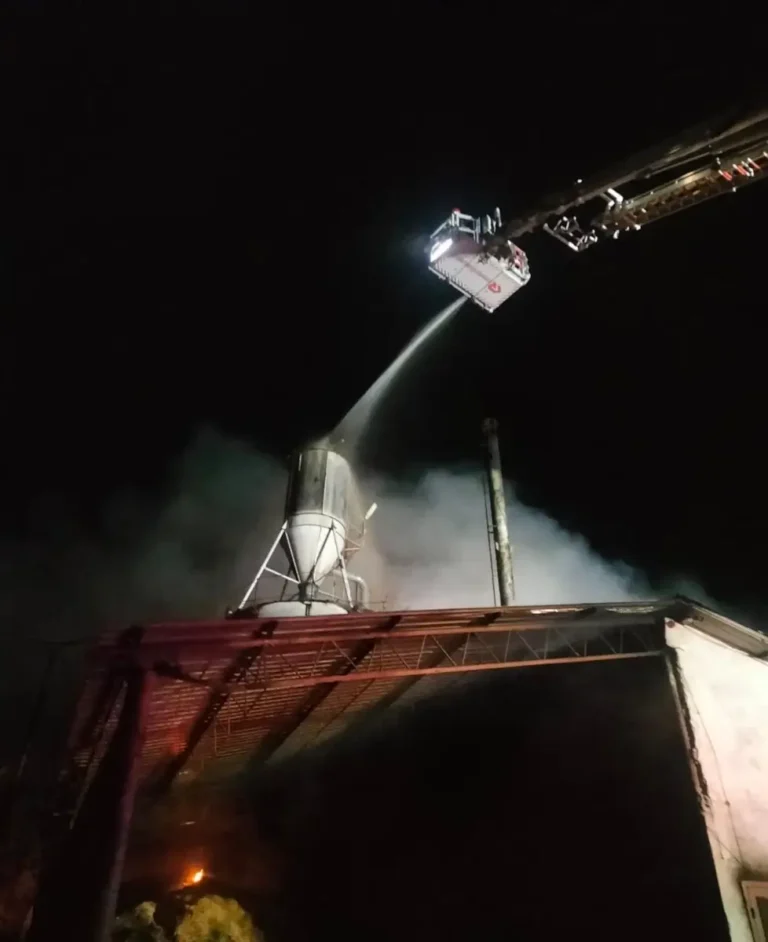 Incendiu de amploare la o fabrică de sicrie din localitatea bihoreană Valea Mare de Criș