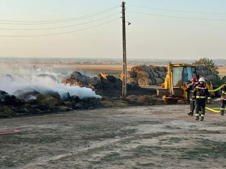 Incendiu de amploare la o fermă de măgărițe din Cetariu. 650 de baloți de fân arși