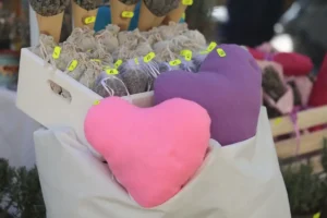 Lavanda fest-03