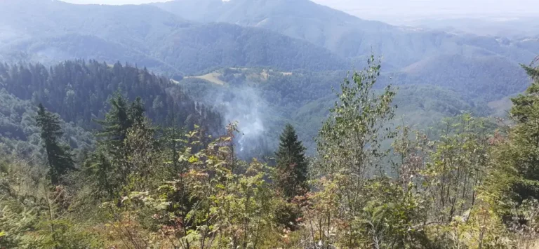 Incendiul din pădurea de la Stâna de Vale nu a fost stins. Misiunea de stingere a incendiului de fond forestier din zona montană dintre Budureasa și Stâna de Vale continuă