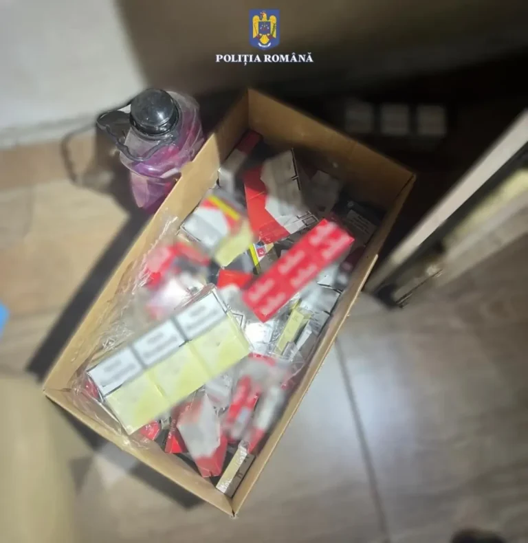Peste 2 milioane de țigări de contrabandă descoperite în județul Bihor