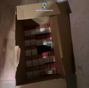 Peste 2 milioane de țigări de contrabandă descoperite în județul Bihor-09